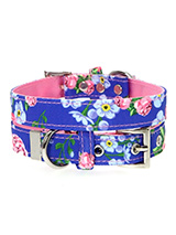 Pink / Blue Floral Burst Fabric Collar - Our Floral Burst pattern collar is a rich contemporary style and the floral pattern is right on trend. It is lightweight and incredibly strong. The collar has been finished with chrome detailing including the eyelets and tip of the collar. A matching lead, harness and bandana are available to purcha...